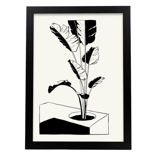 Banana Tree-Artwork-Nacnic-A3-Sin marco-Nacnic Estudio SL