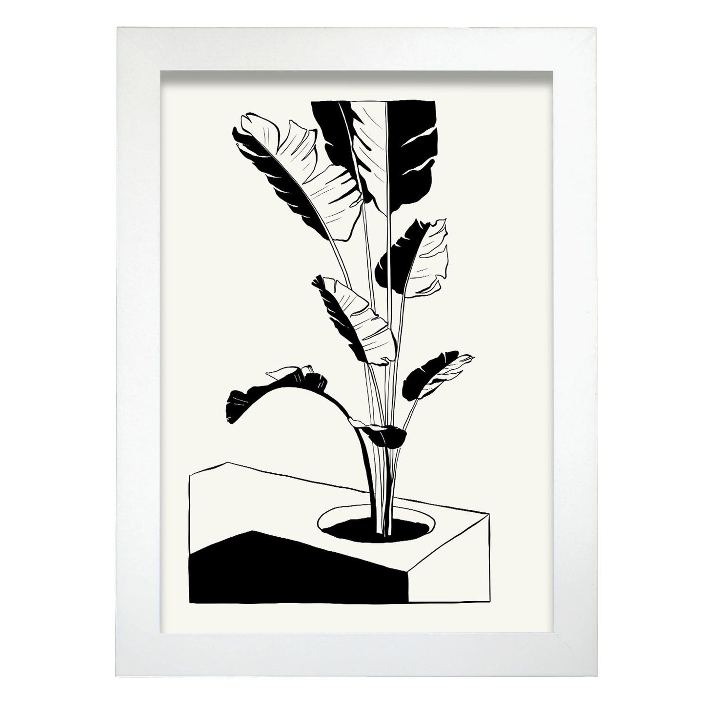 Banana Tree-Artwork-Nacnic-A4-Marco Blanco-Nacnic Estudio SL
