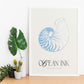 Banded Tun Shell-Artwork-Nacnic-Nacnic Estudio SL