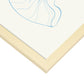 Banded Tun Shell-Artwork-Nacnic-Nacnic Estudio SL