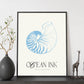 Banded Tun Shell-Artwork-Nacnic-Nacnic Estudio SL