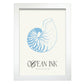 Banded Tun Shell-Artwork-Nacnic-A4-Marco Blanco-Nacnic Estudio SL