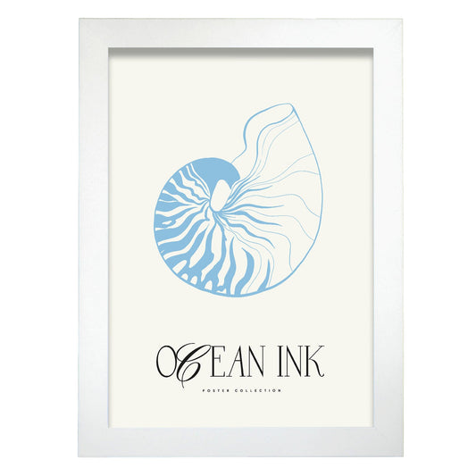 Banded Tun Shell-Artwork-Nacnic-A4-Marco Blanco-Nacnic Estudio SL