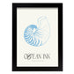 Banded Tun Shell-Artwork-Nacnic-A4-Sin marco-Nacnic Estudio SL