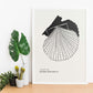 Bay Scallops-Artwork-Nacnic-Nacnic Estudio SL