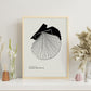 Bay Scallops-Artwork-Nacnic-Nacnic Estudio SL