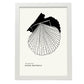 Bay Scallops-Artwork-Nacnic-A3-Marco Blanco-Nacnic Estudio SL