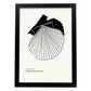 Bay Scallops-Artwork-Nacnic-A3-Sin marco-Nacnic Estudio SL