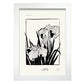 Bearded Iris-Artwork-Nacnic-A4-Marco Blanco-Nacnic Estudio SL