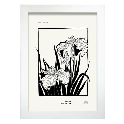 Bearded Iris-Artwork-Nacnic-A4-Marco Blanco-Nacnic Estudio SL