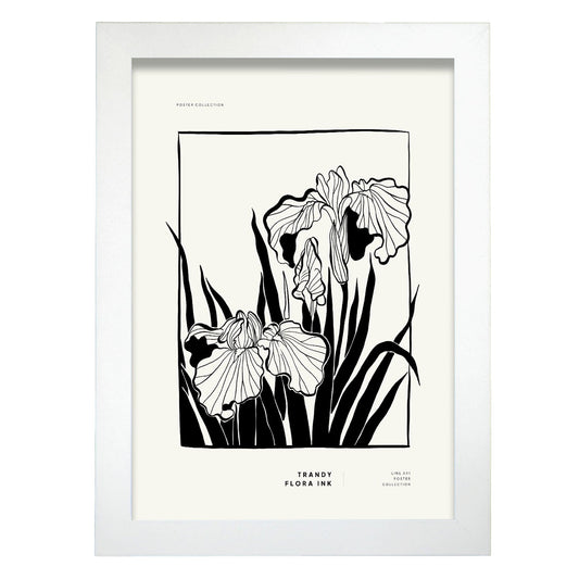 Bearded Iris-Artwork-Nacnic-A4-Marco Blanco-Nacnic Estudio SL