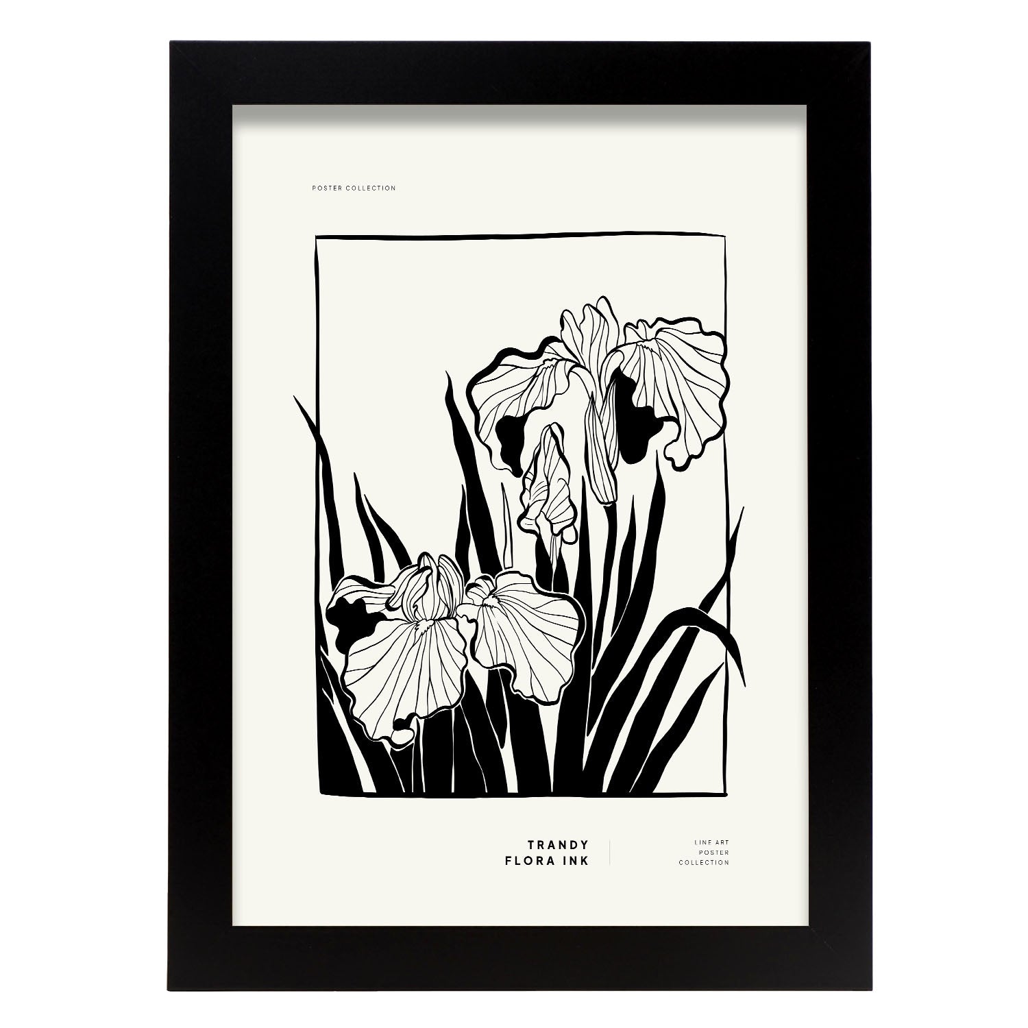 Bearded Iris-Artwork-Nacnic-A4-Sin marco-Nacnic Estudio SL