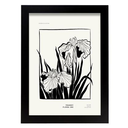 Bearded Iris-Artwork-Nacnic-A4-Sin marco-Nacnic Estudio SL