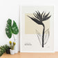 Bird of Paradise-Artwork-Nacnic-Nacnic Estudio SL
