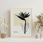 Bird of Paradise-Artwork-Nacnic-Nacnic Estudio SL