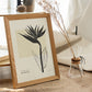 Bird of Paradise-Artwork-Nacnic-Nacnic Estudio SL