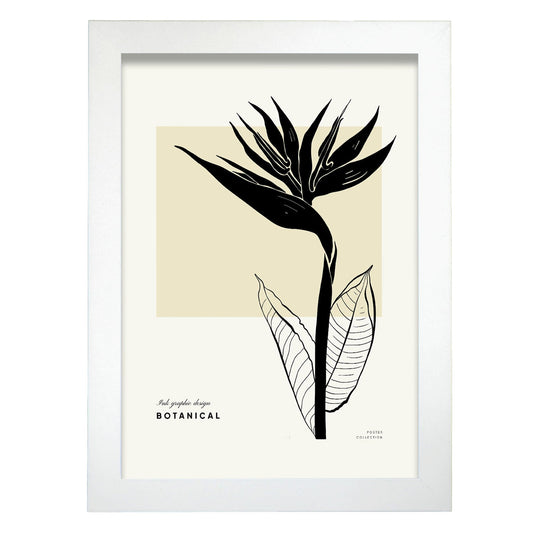 Bird of Paradise-Artwork-Nacnic-A4-Marco Blanco-Nacnic Estudio SL