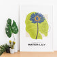 Blue Egyptian Waterlily-Artwork-Nacnic-Nacnic Estudio SL