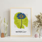 Blue Egyptian Waterlily-Artwork-Nacnic-Nacnic Estudio SL