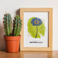 Blue Egyptian Waterlily-Artwork-Nacnic-Nacnic Estudio SL
