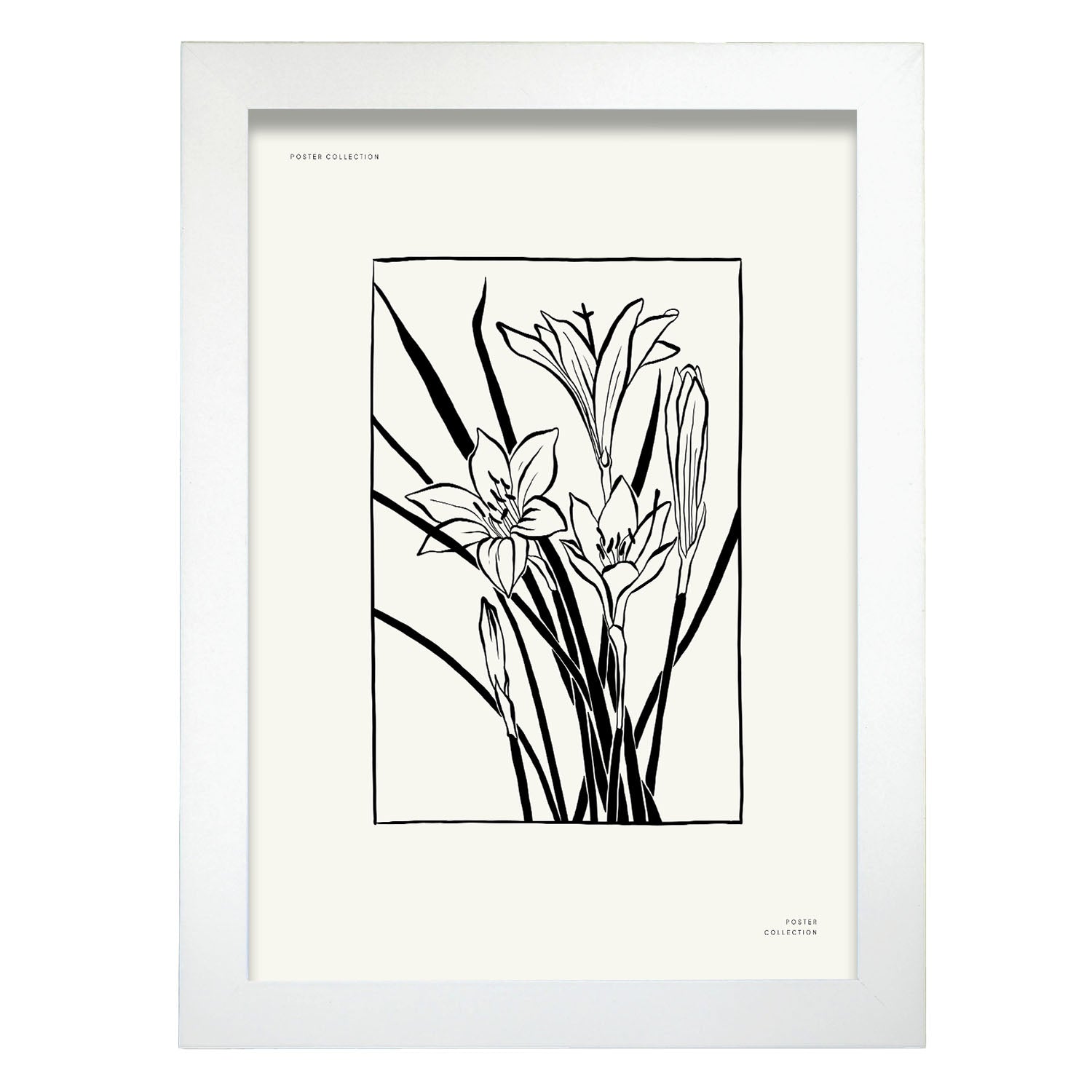 Boquet of Tiger Lily-Artwork-Nacnic-A4-Marco Blanco-Nacnic Estudio SL