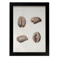 Brain-Artwork-Nacnic-A3-Sin marco-Nacnic Estudio SL