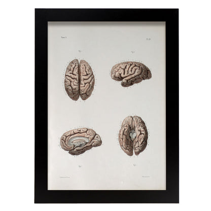 Brain-Artwork-Nacnic-A4-Sin marco-Nacnic Estudio SL
