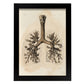 Bronchi, trachea, laryngeal cartilages-Artwork-Nacnic-A3-Sin marco-Nacnic Estudio SL