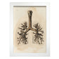 Bronchi, trachea, laryngeal cartilages-Artwork-Nacnic-A4-Marco Blanco-Nacnic Estudio SL