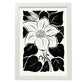 Buttercup Flower-Artwork-Nacnic-A3-Marco Blanco-Nacnic Estudio SL