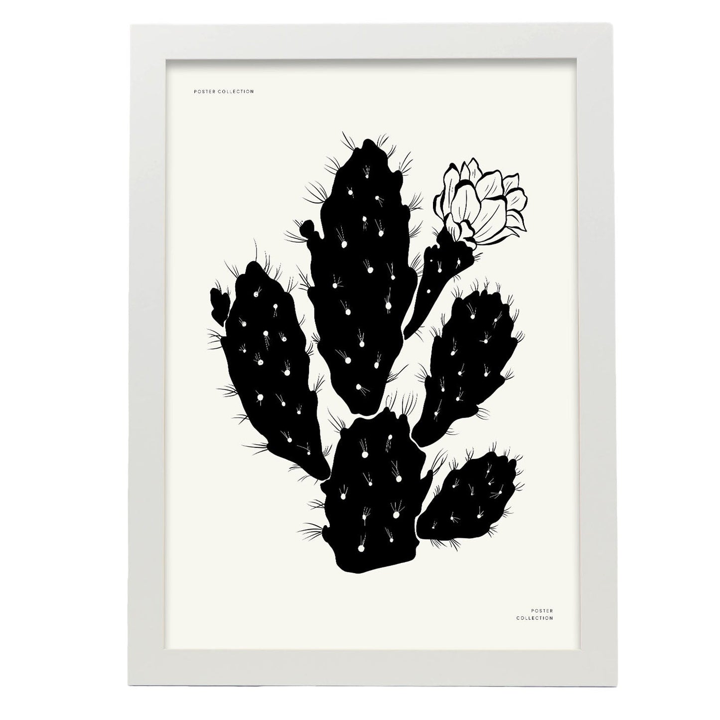 Cactus Flower-Artwork-Nacnic-A3-Marco Blanco-Nacnic Estudio SL