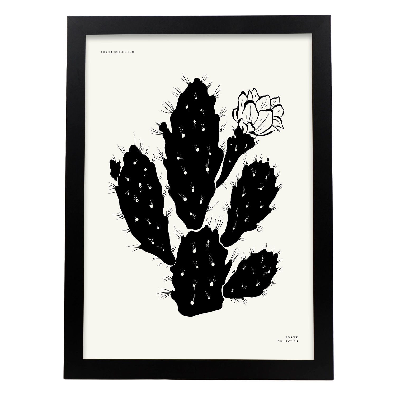 Cactus Flower-Artwork-Nacnic-A3-Sin marco-Nacnic Estudio SL