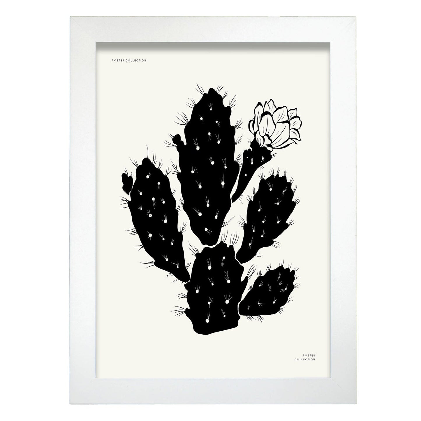 Cactus Flower-Artwork-Nacnic-A4-Marco Blanco-Nacnic Estudio SL