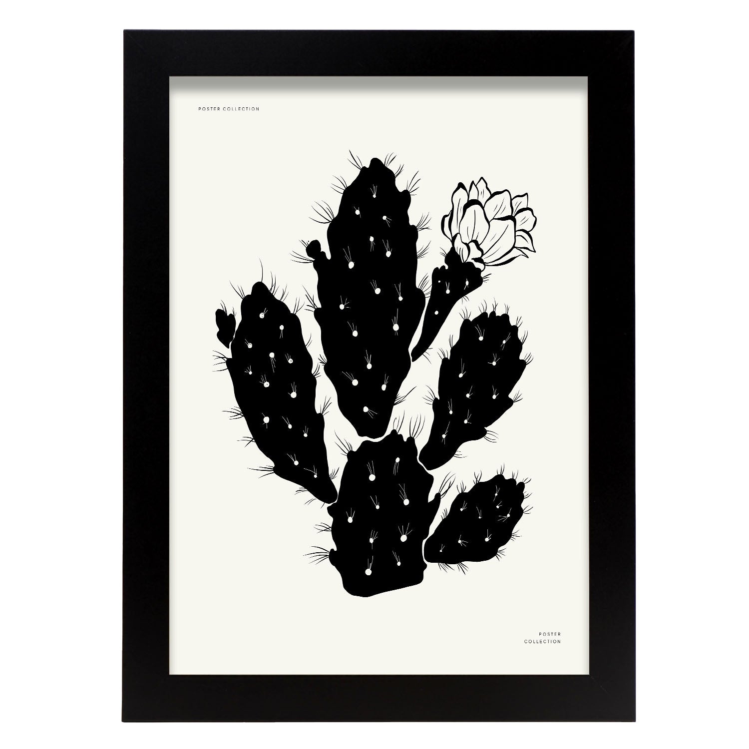 Cactus Flower-Artwork-Nacnic-A4-Sin marco-Nacnic Estudio SL