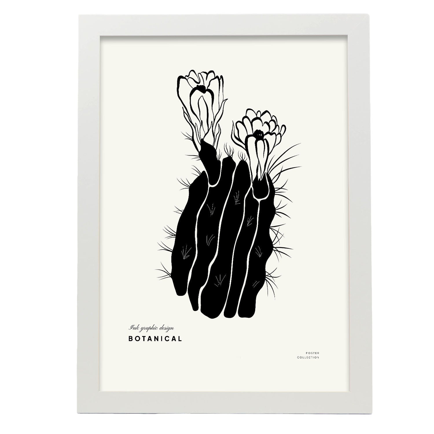 Cactus Flowers-Artwork-Nacnic-A3-Marco Blanco-Nacnic Estudio SL