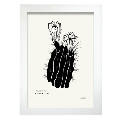 Cactus Flowers-Artwork-Nacnic-A4-Marco Blanco-Nacnic Estudio SL