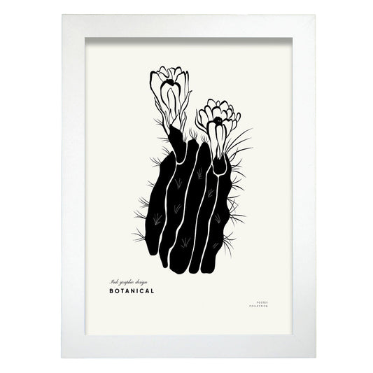 Cactus Flowers-Artwork-Nacnic-A4-Marco Blanco-Nacnic Estudio SL