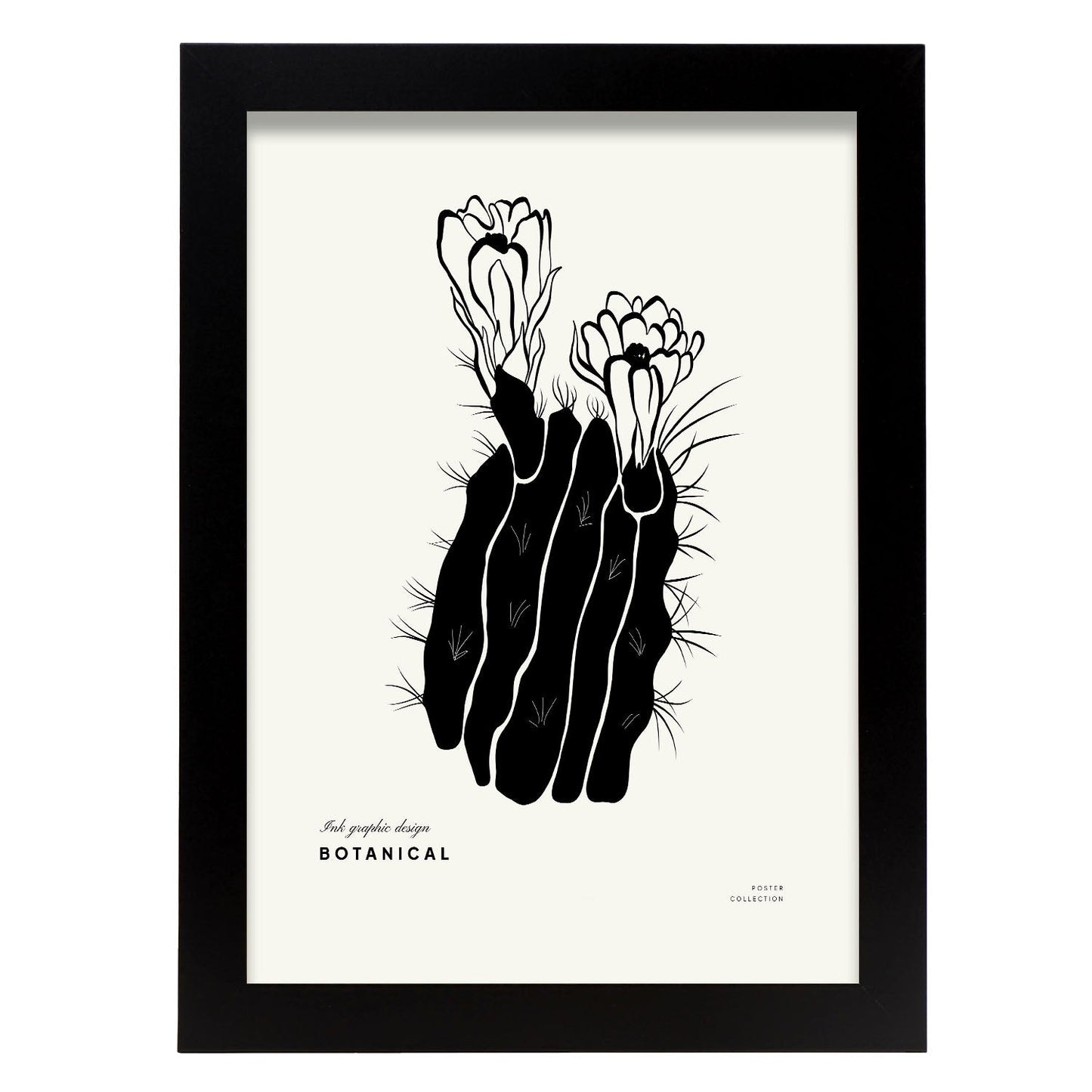 Cactus Flowers-Artwork-Nacnic-A4-Sin marco-Nacnic Estudio SL