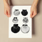Calico Scallops-Artwork-Nacnic-Nacnic Estudio SL