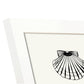 Calico Scallops-Artwork-Nacnic-Nacnic Estudio SL