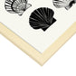 Calico Scallops-Artwork-Nacnic-Nacnic Estudio SL