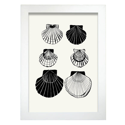 Calico Scallops-Artwork-Nacnic-A4-Marco Blanco-Nacnic Estudio SL