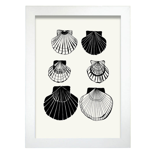 Calico Scallops-Artwork-Nacnic-A4-Marco Blanco-Nacnic Estudio SL