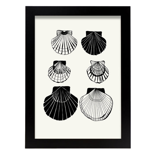 Calico Scallops-Artwork-Nacnic-A4-Sin marco-Nacnic Estudio SL