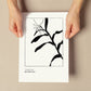 Cannna Plant-Artwork-Nacnic-Nacnic Estudio SL