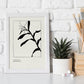 Cannna Plant-Artwork-Nacnic-Nacnic Estudio SL