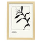 Cannna Plant-Artwork-Nacnic-A3-Marco Madera clara-Nacnic Estudio SL