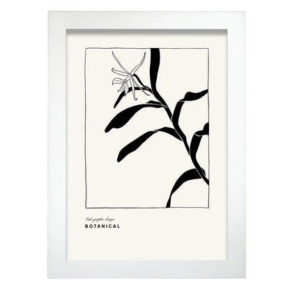 Cannna Plant-Artwork-Nacnic-A4-Marco Blanco-Nacnic Estudio SL