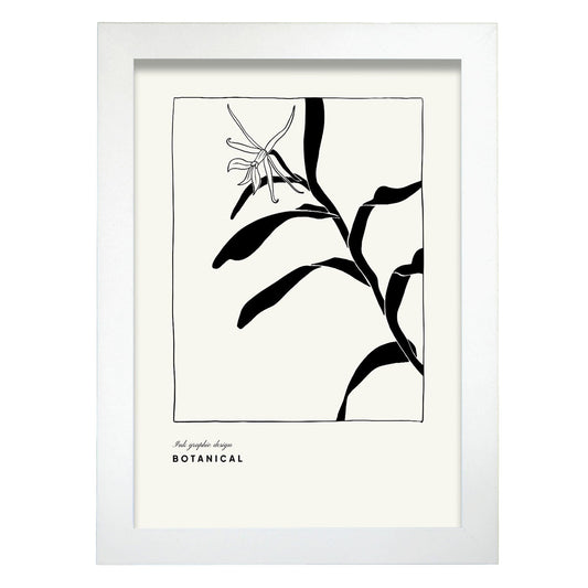 Cannna Plant-Artwork-Nacnic-A4-Marco Blanco-Nacnic Estudio SL