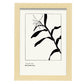 Cannna Plant-Artwork-Nacnic-A4-Marco Madera clara-Nacnic Estudio SL